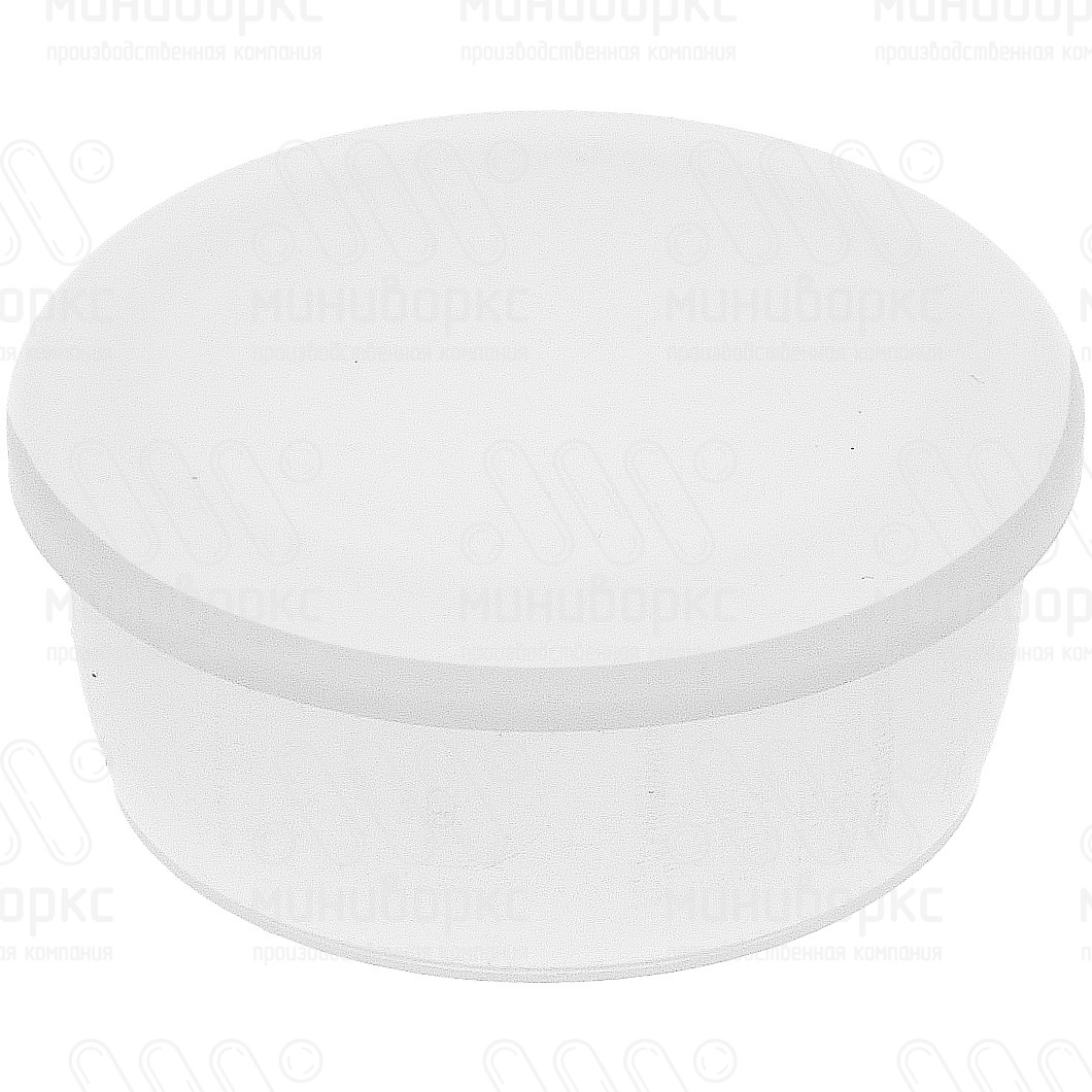 Заглушка для отверстия Ø24, цвет бесцветный – TTP24 - 1